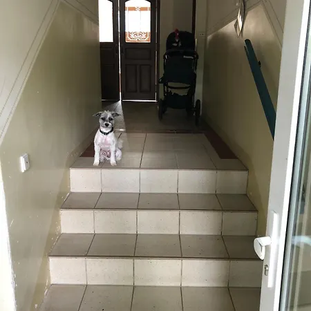 Schoene Auf Dem Kassberg - Karl's Auszeit