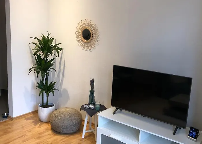Apartment Schöne Auf Dem Kaßberg - Karl's Auszeit *