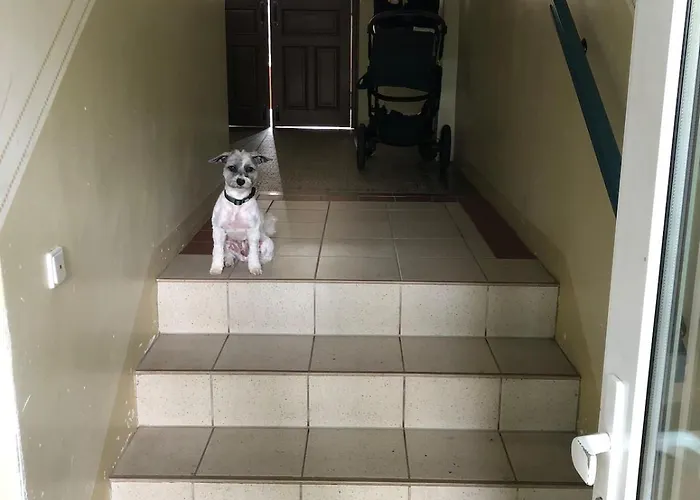 Schoene Auf Dem Kassberg - Karl's Auszeit